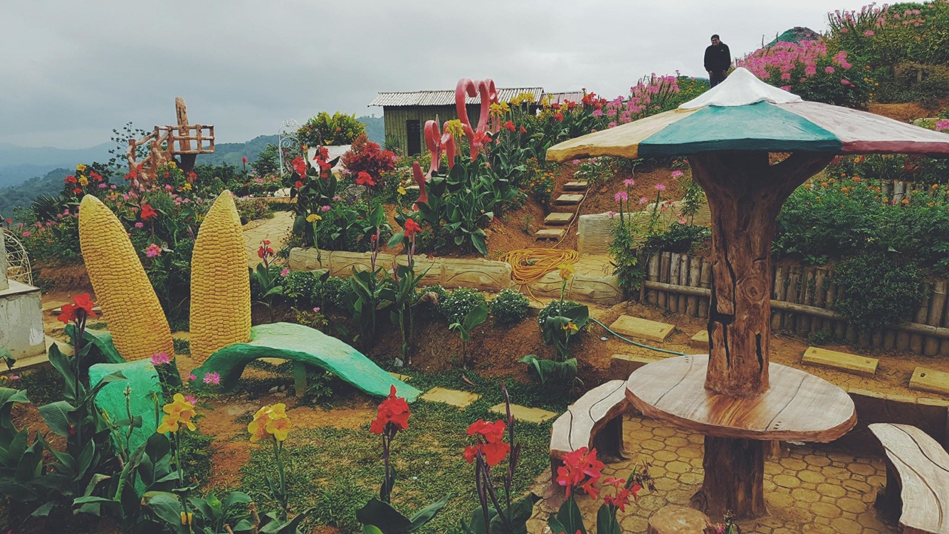 Mini Bench, Corn Statue and Colorful Flowers - Cebu Little Amsterdam Sirao Flower Garden