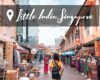 Little India and Chinatown Singapore Travel Guide - The Travel Mark