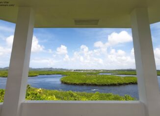 Mangrove View Deck - Siargao Island Boat Tour